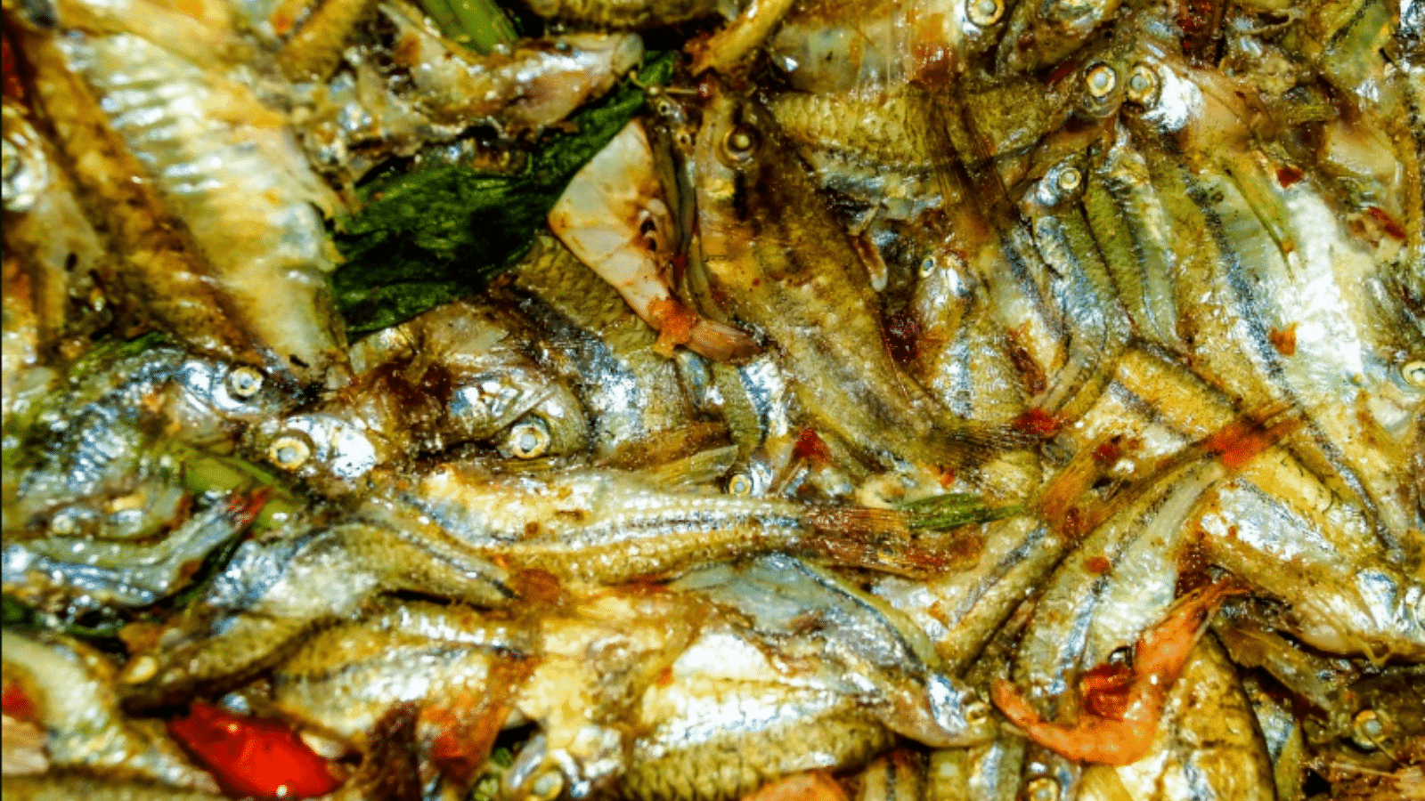 Escabeche - Portuguese gastronomy