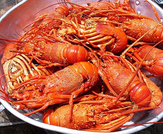 Lagosta Suada - Portuguese gastronomy