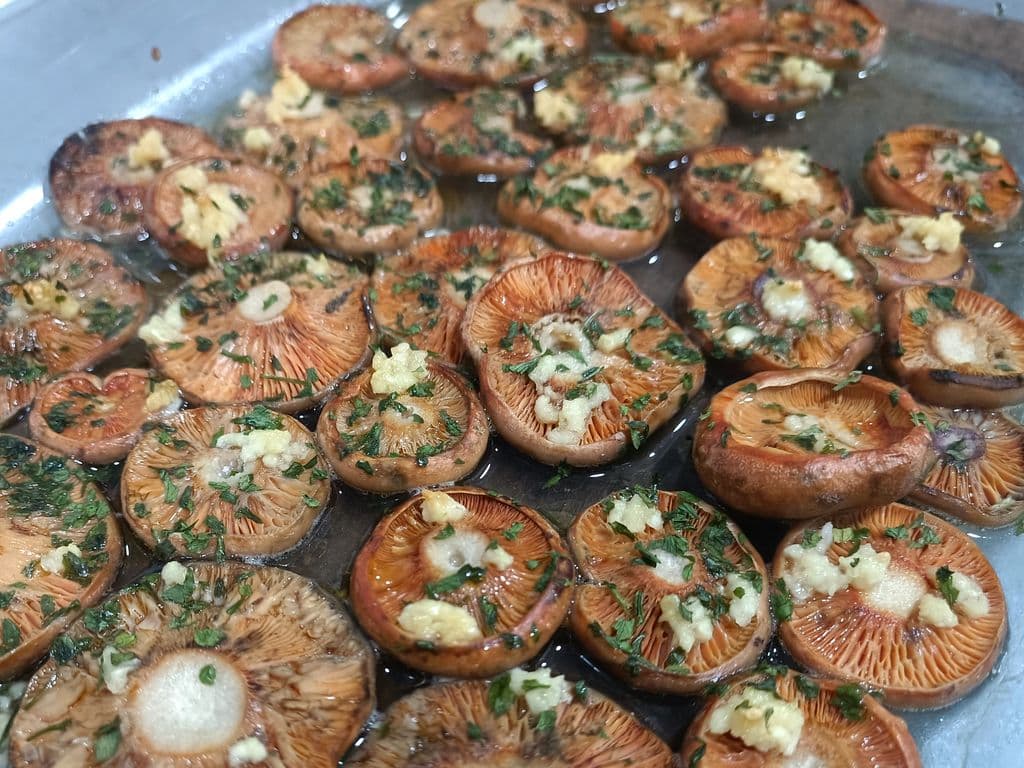 Níscalos - Portuguese gastronomy