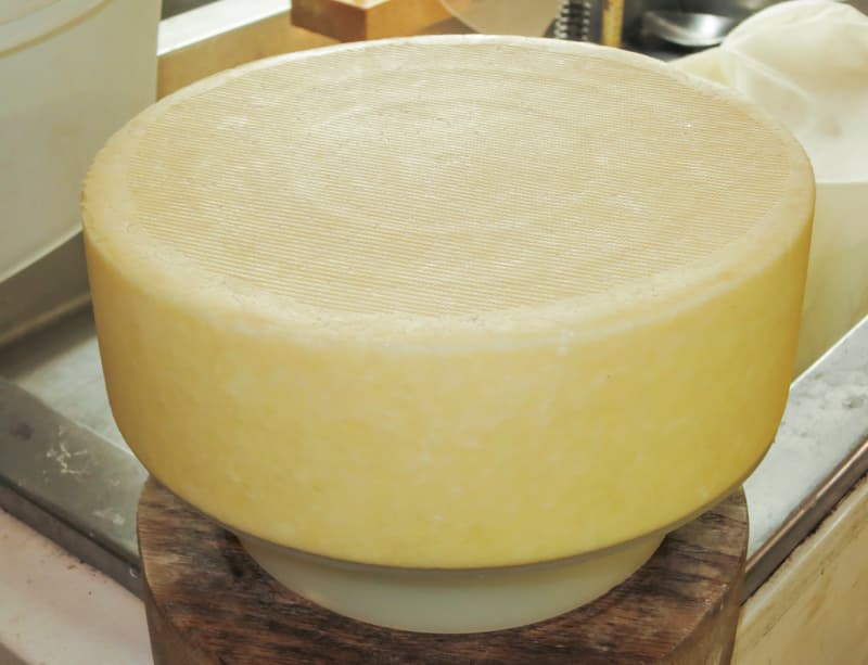 Queijo de São Jorge - Portuguese gastronomy