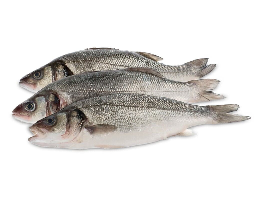 Robalo - Portuguese gastronomy