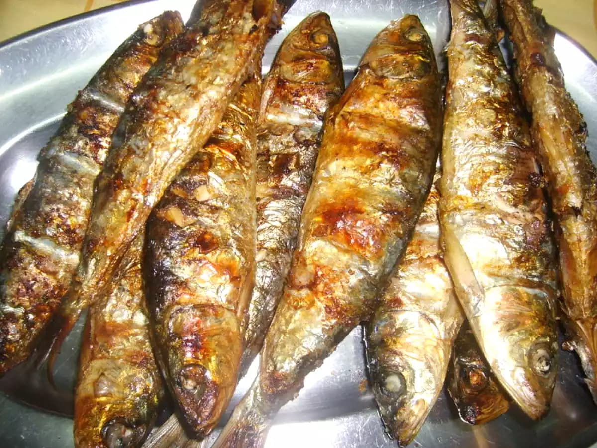 Sardinha - Portuguese gastronomy