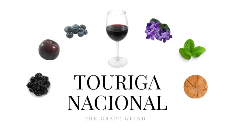Uva Touriga - Portuguese gastronomy
