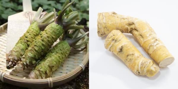 Wasabi Português - Portuguese gastronomy