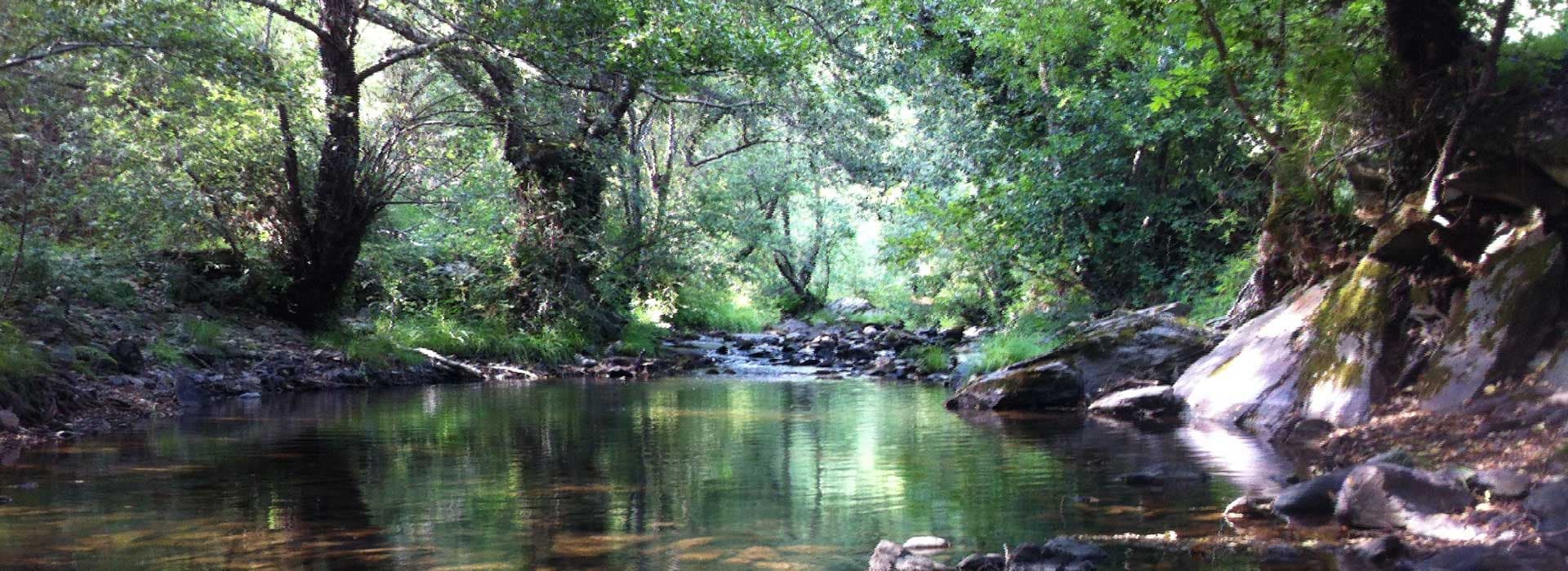 Parque de Montesinho