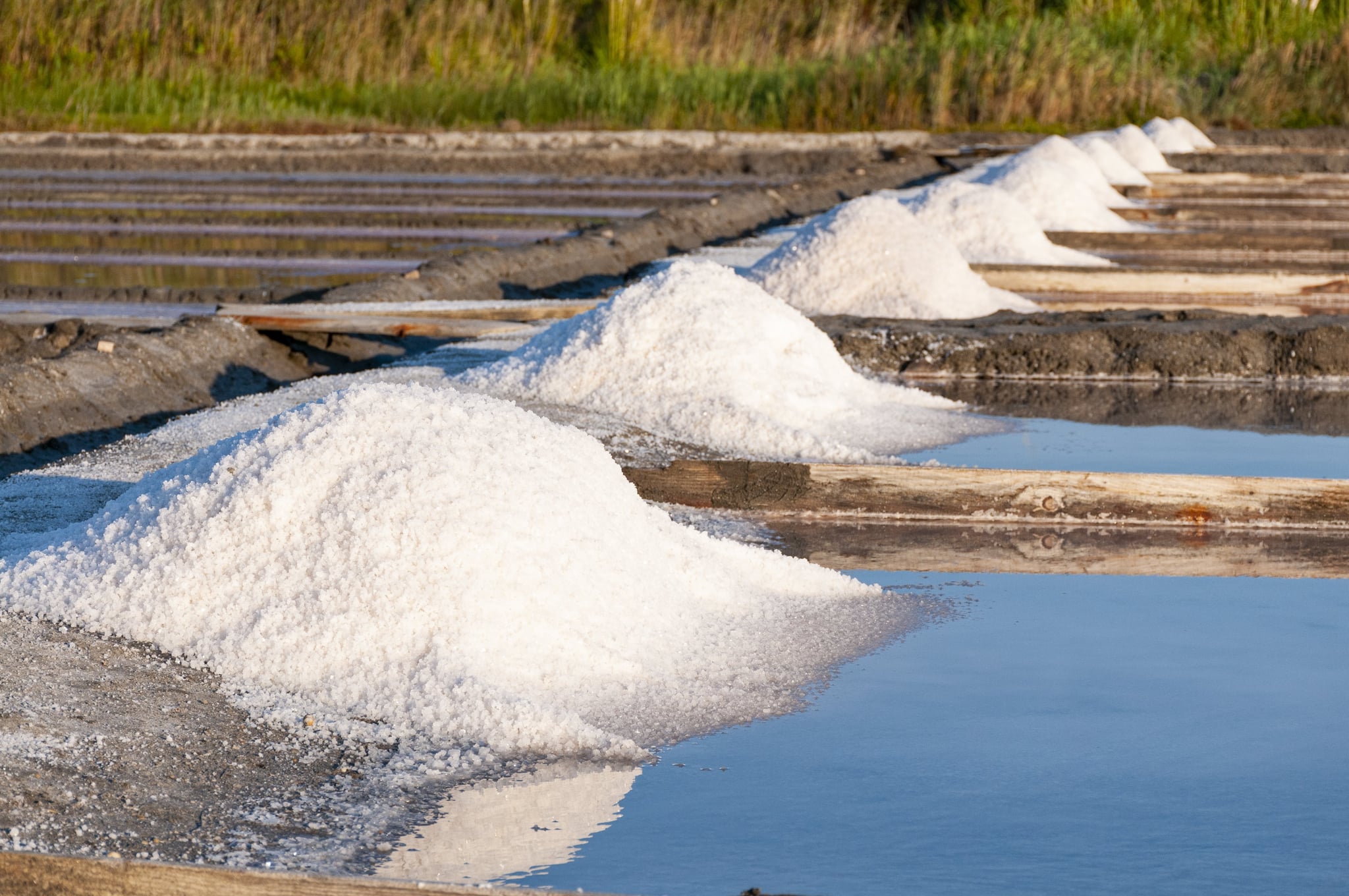 Salinas de Aveiro