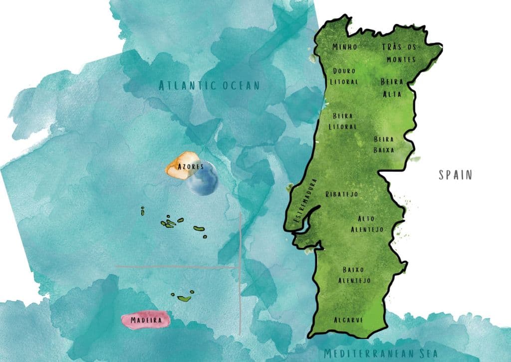 Zona Demarcada - Portuguese gastronomy