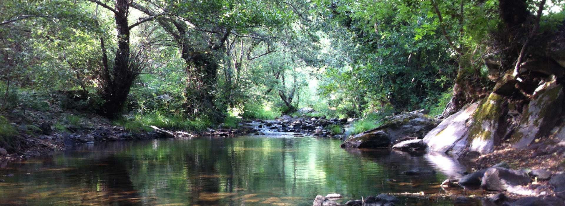 Parque de Montesinho